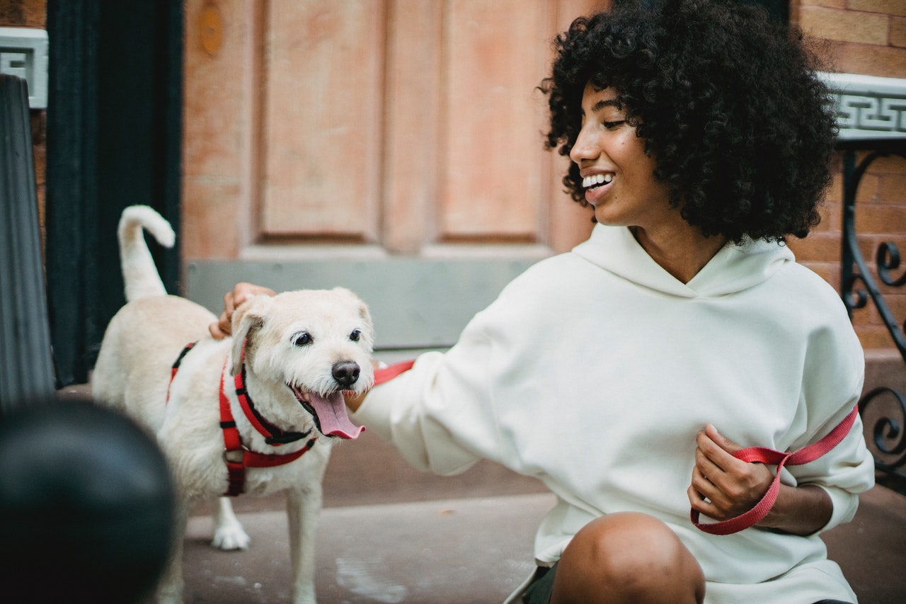 Collars & Leashes