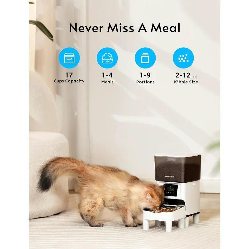 Raised Programmable/Timed Cat Feeder