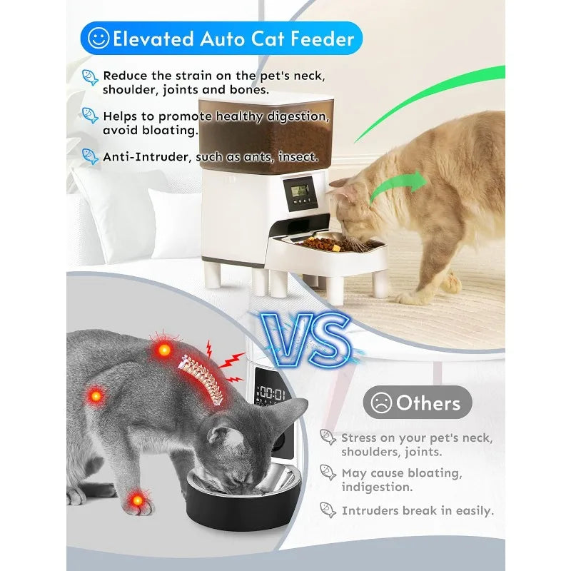 Raised Programmable/Timed Cat Feeder