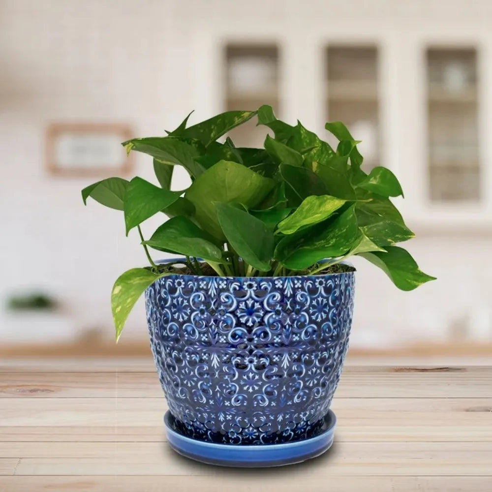 Round Blue Ceramic Planter