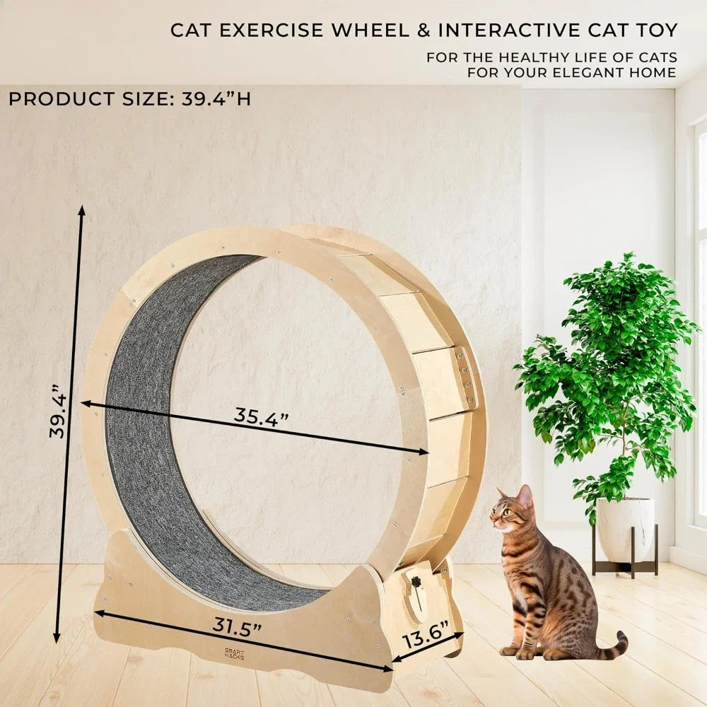 Cat Wheel Exerciser for Large Cats