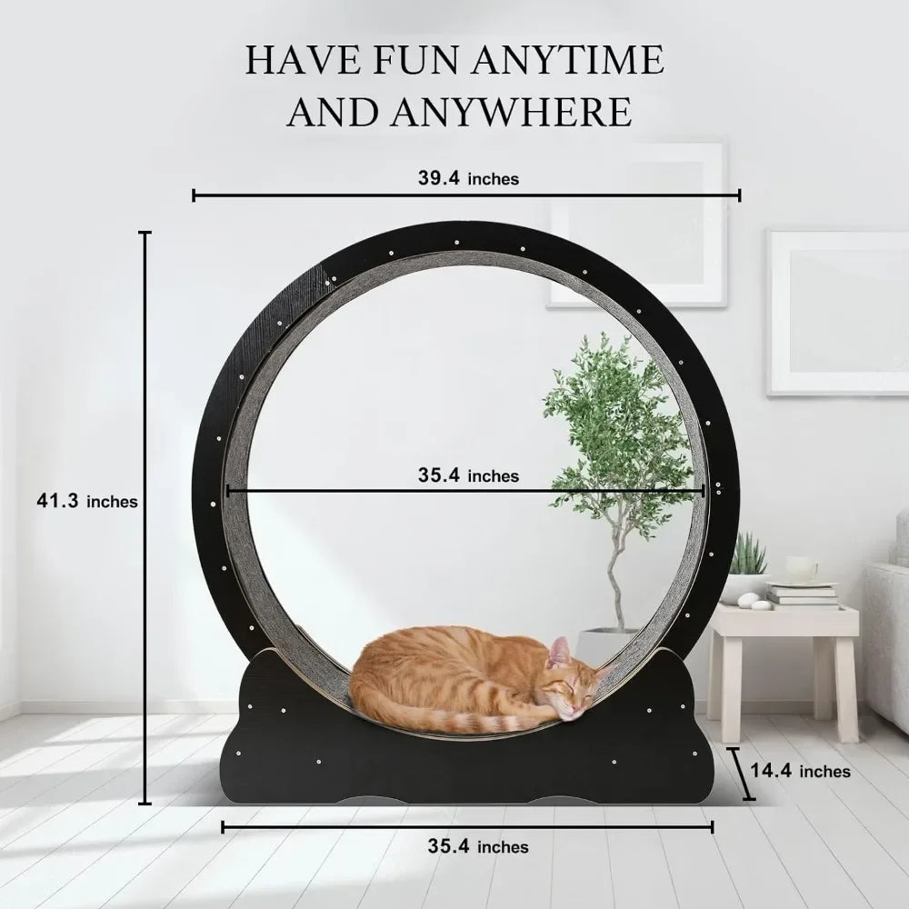 Exercise Wheel for Indoor Cats