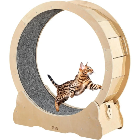 Cat Wheel Exerciser for Large Cats