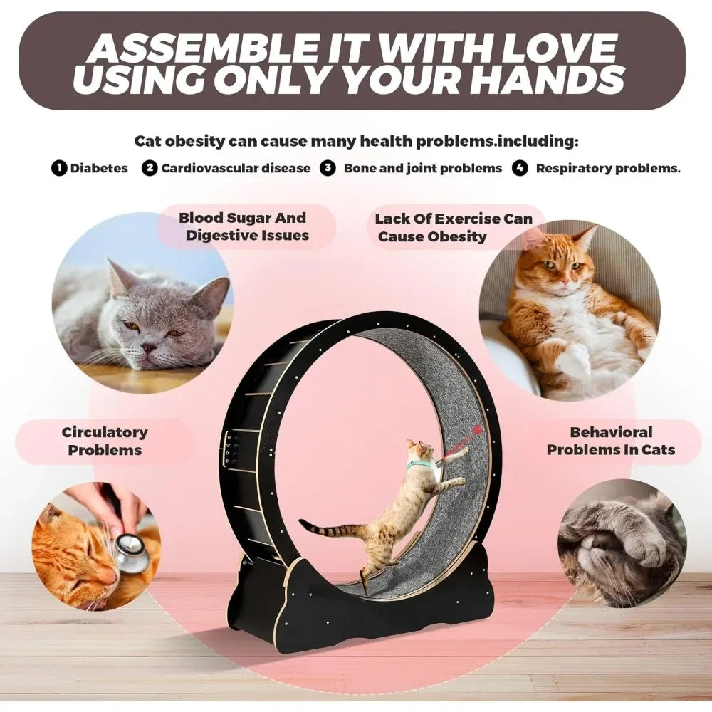 Exercise Wheel for Indoor Cats