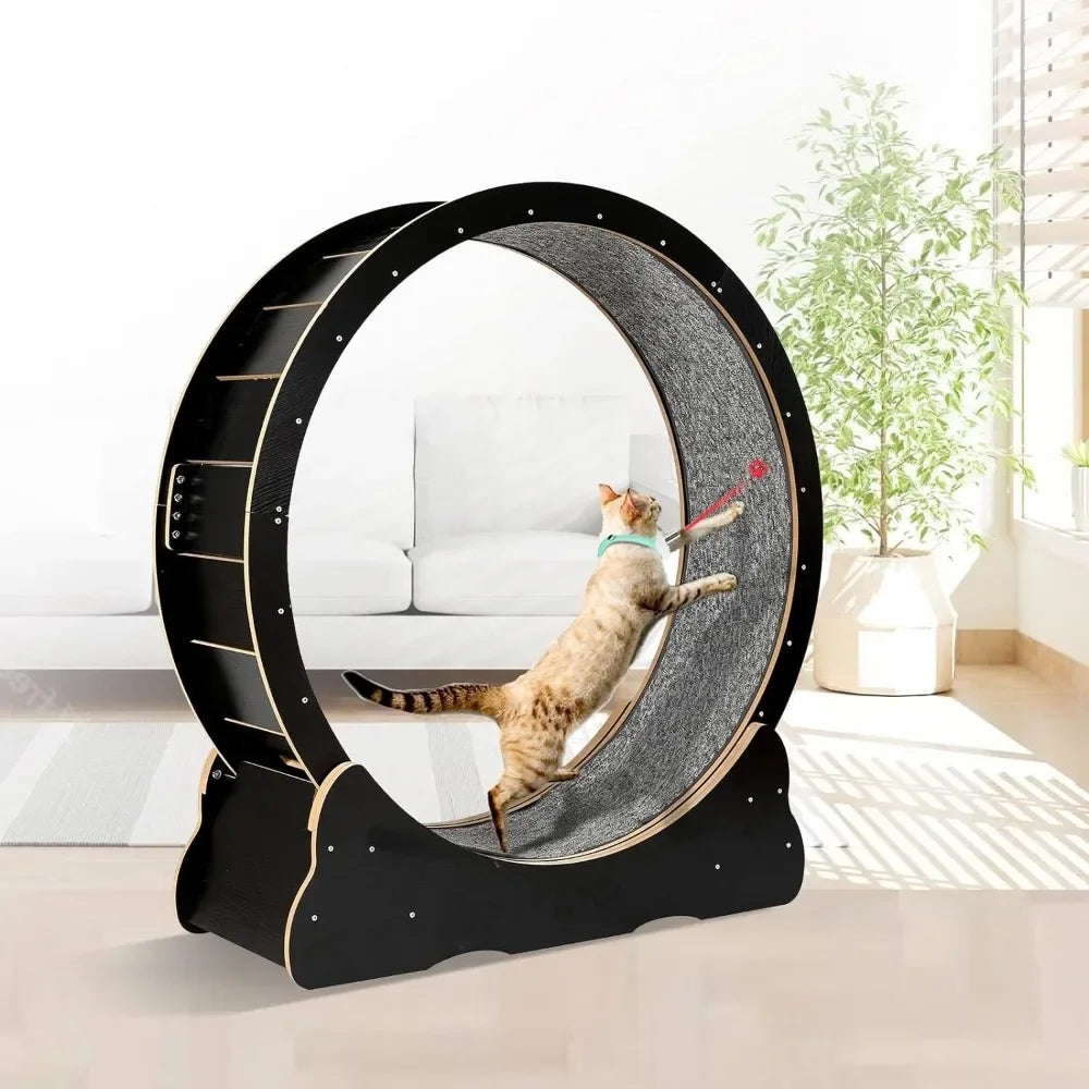 Exercise Wheel for Indoor Cats