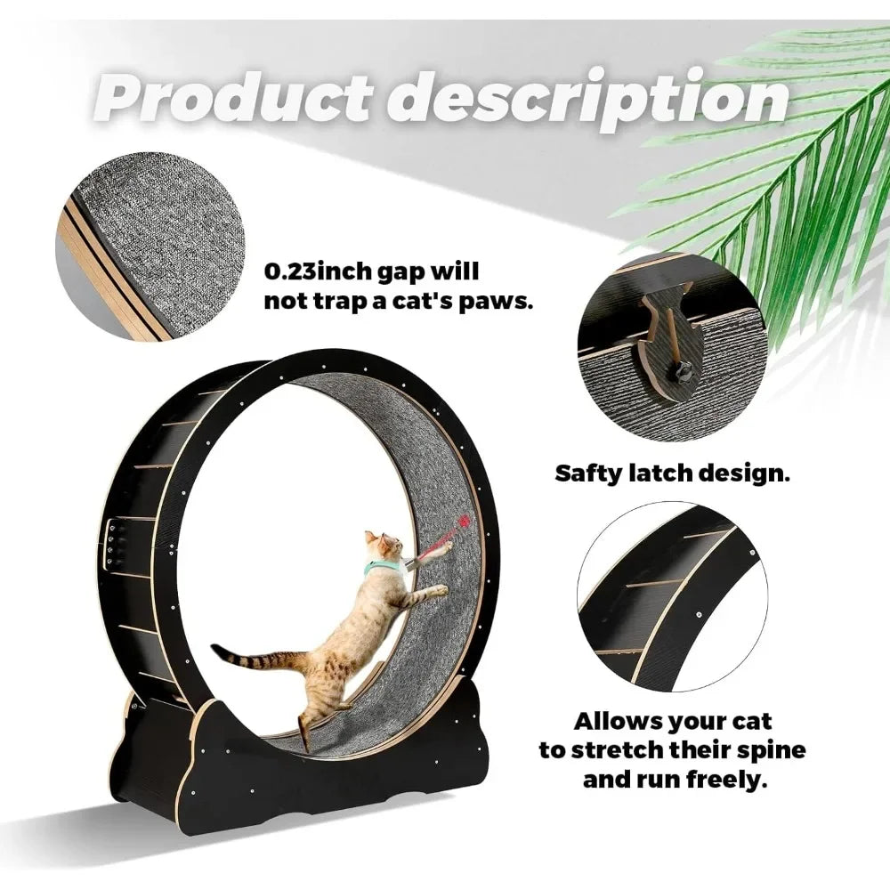 Exercise Wheel for Indoor Cats